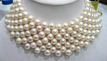 Prlhalsband